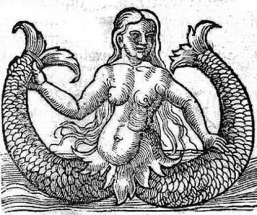 two-tailed mermaid from Naturalis Historia (1565)
